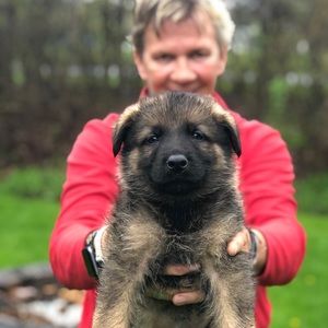 Meet your Posher, Paula